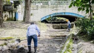 Alcaldía de Ibagué anuncia que 'maquillará' el deteriorado parque Centenario para la temporada de fin de año