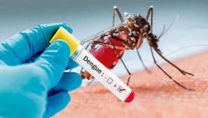 Menores de edad representan más del 50% de los casos por dengue en Ibagué 