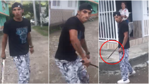 Intolerancia en el Líbano: Un hombre agrede a una mujer con un machete por un conflicto con sus mascotas