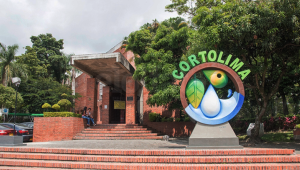 Las contradicciones de Cortolima con la tala de cinco árboles en el Parque Centenario