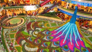 Llegó la Feria: este es el majestuoso tapete de flores en Medellín que descresta por su belleza  