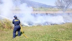 Causar incendios forestales en Ibagué puede dar cárcel