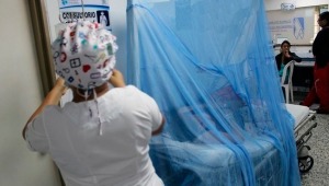 Ibagué registra más de 1.600 casos de dengue 