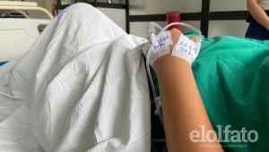 El dengue ataca a las embarazadas: siete pacientes son atendidas en el Hospital Federico Lleras