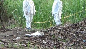 Hallan el cadáver de un adulto mayor en zona rural de Ibagué
