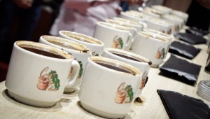 Del Tolima para el mundo: cafés especiales participarán en el 'coffee expo' que se realizará en Estados Unidos