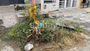 El daño que habría hecho un funcionario del Ibal y que no ha sido reparado desde hace más de un año en Ibagué