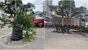Ciudadanos proponen poner llantas y plantas en los huecos de Ibagué para hacerlos visibles