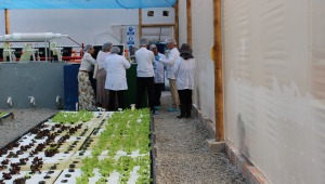 Universidad de Ibagué apuesta por un cambio en la agricultura del Tolima