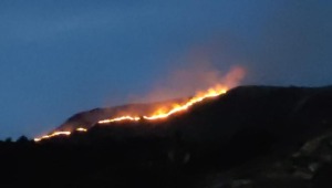 Emergencia en Suárez: autoridades atienden incendio forestal