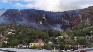 Incendio forestal genera emergencia en Dolores 