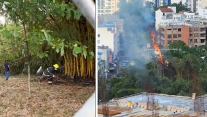 Incendio forestal provocó una pelea con los vecinos