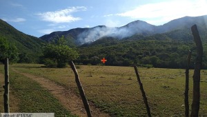 Socorristas tratan de controlar incendio forestal en finca de Coello