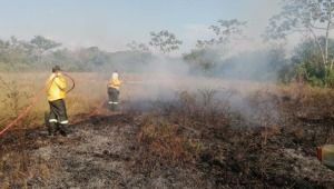 Hay alerta roja por incendios forestales en 30 municipios del Tolima