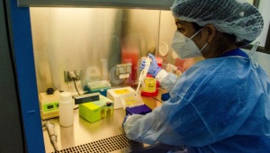Tolima registró 230 nuevos contagios por COVID-19, informó el Instituto Nacional de Salud