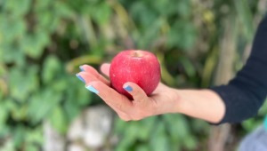 Los cinco mitos más comunes sobre el consumo de fruta