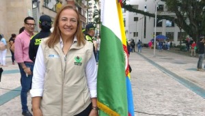 Declaran insubsistente directora del ICBF regional Tolima 