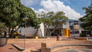 Artistas locales expondrán sus obras en el Museo de Arte del Tolima