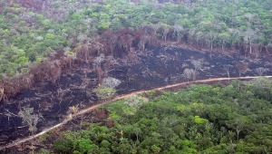 Deforestación y calentamiento global cambiaron profundamente temperaturas y precipitaciones de Colombia, según estudio   