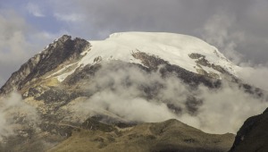 Autoridades, llamadas a responder qué han hecho para proteger el Parque Los Nevados