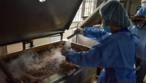 Investigan si alimentos del PAE en Ibagué son aptos para el consumo de los estudiantes