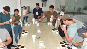 Empresarios internacionales buscan comercializar café tolimense