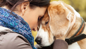 El acompañamiento de animales ayudaría en el proceso terapéutico de pacientes con cáncer, trastornos mentales, sordera, depresión o ansiedad