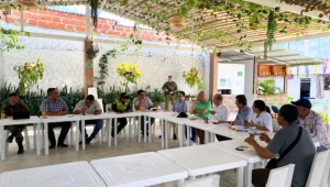 Delitos como los hurtos, las estafas y el abigeato aumentan en el sur del Tolima
