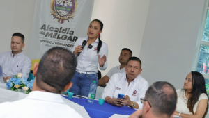 "Hay un incremento peligroso en los casos de dengue": secretaria de Salud del Tolima