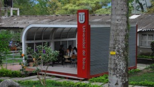 Ante presunto maltrato de docente de la U. del Tolima, la institución asegura que activó la ruta de atención psicosocial
