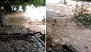 Doce familias afectadas por creciente de tres ríos en Venadillo
