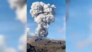 Volcán Nevado del Ruíz reportó emisiones de ceniza, vapor y gases: la columna alcanzó una altura de 3.258 metros