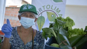 Huertas caseras: la estrategia de Cortolima para fortalecer la seguridad alimentaria del departamento