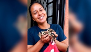 Entre el karate y los rescates: esta es la historia de una ibaguereña que ha salvado a más de 100 zarigüeyas en el Tolima