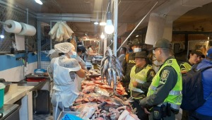 Incautaron más de 30 kilogramos de pescado en plazas de mercado de Ibagué