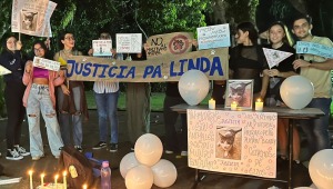 Estudiantes denuncian indiferencia animal por parte de la Universidad de Ibagué