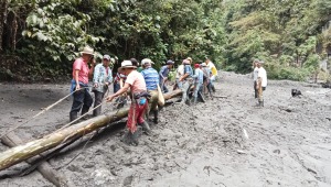 Habitantes de Juntas construyen sus propios puentes después de la emergencia 