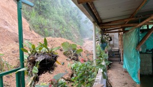 Más de 400 familias damnificadas en el Tolima por ola invernal