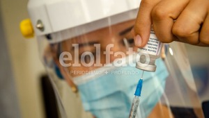 Llegaron más de 80.000 vacunas Pfizer, Moderna, AstraZeneca y Janssen al Tolima