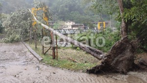 Aguacero en el Cañón del Combeima provoca caída de árboles y postes de energía