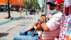  La historia detrás de 'Toby': el reconocido perrito de la carrera Tercera de Ibagué