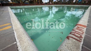 Denuncian que deportistas en Polideportivo Bocaneme entrenan en piscina con algas y suciedad